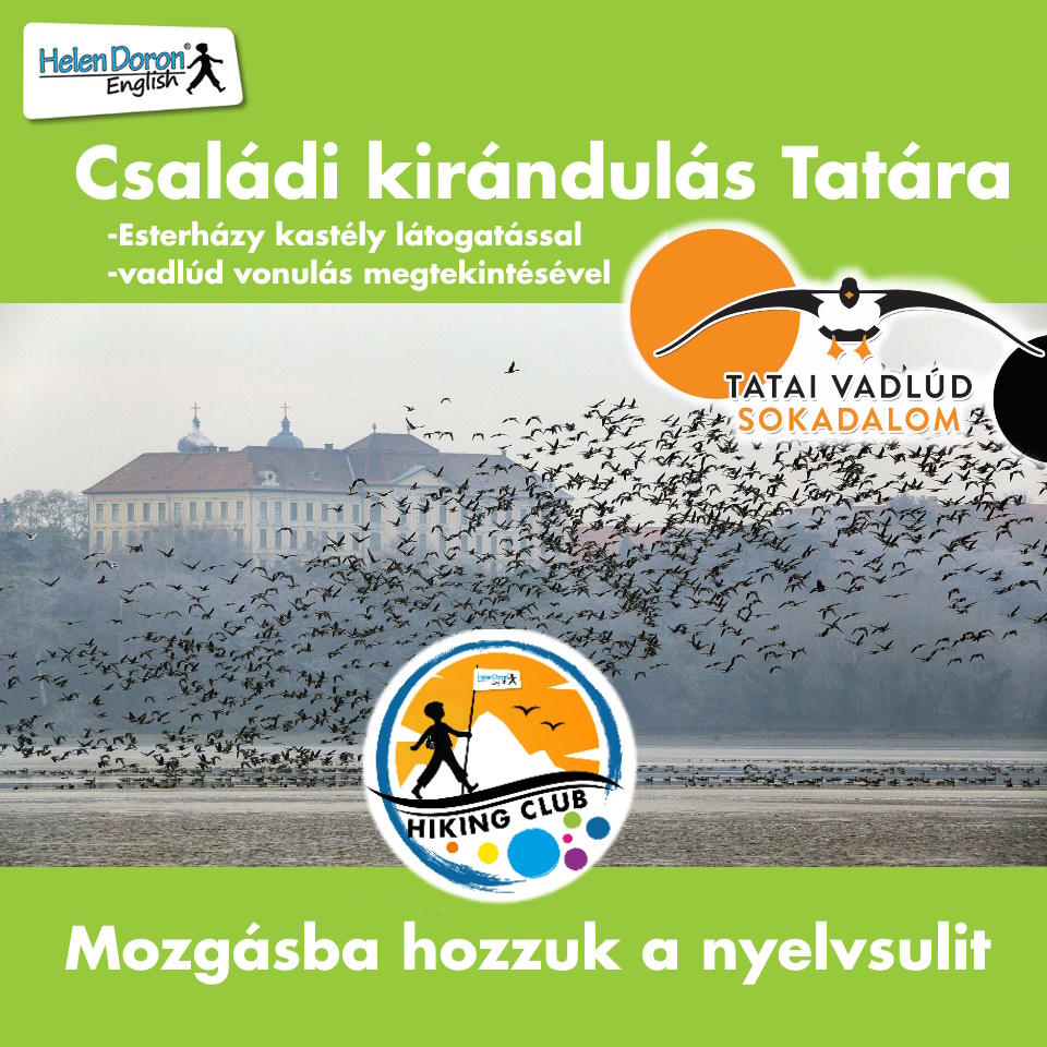 Read more about the article Családi kirándulás a tatai Öreg-tóhoz