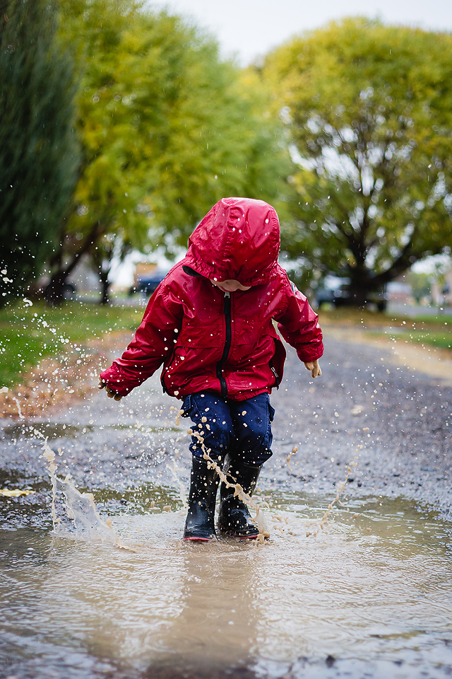Read more about the article Rainy November